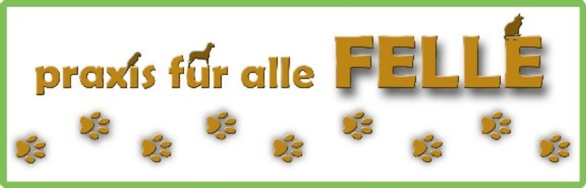 Tierheilpraxis Hundeschule Lnen Werne Selm Dortmund