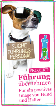 projekt_banner